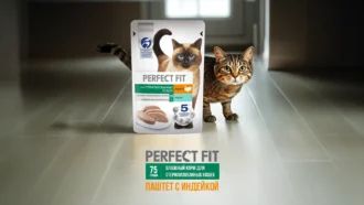 Оформление карточки товара Perfect Fit для маркетплейса