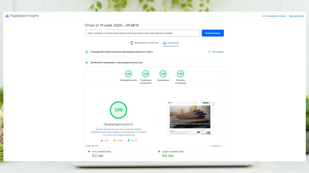 Скриншот PageSpeed Insights десктопная оценка 100 производительности для Zaedok.ru